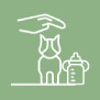 Campus Online